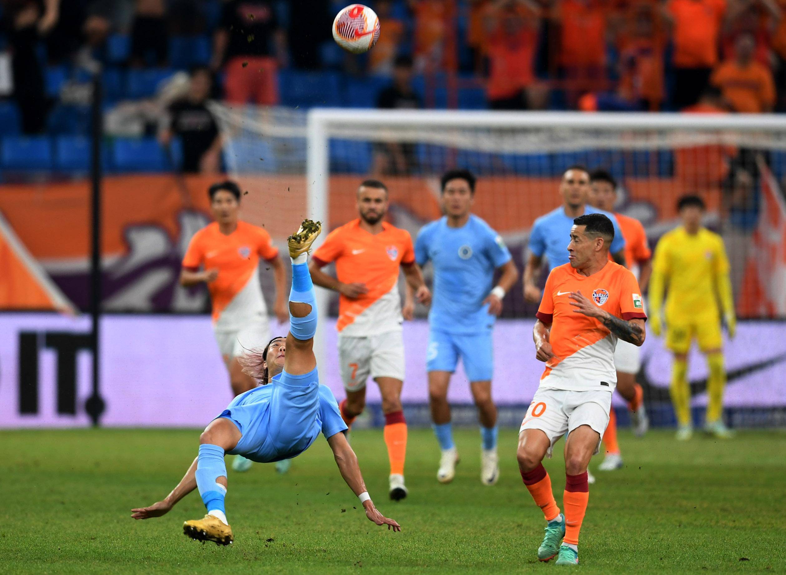 上应对树 上应对树